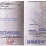 Cách đọc các chỉ số cơ bản trên số hồng không phải ai cũng biết?